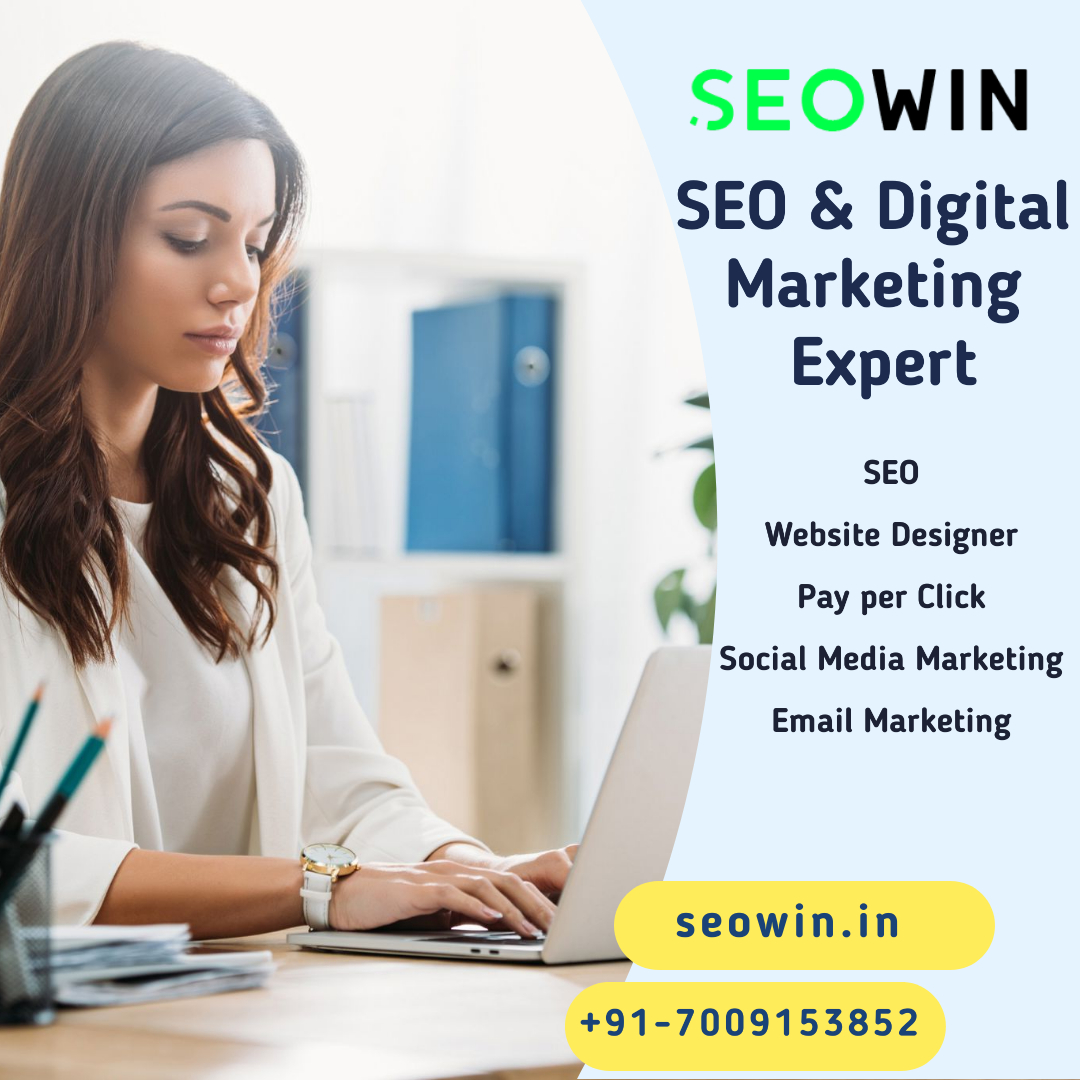 Digital Marketing Company in Surat - SEOWIN